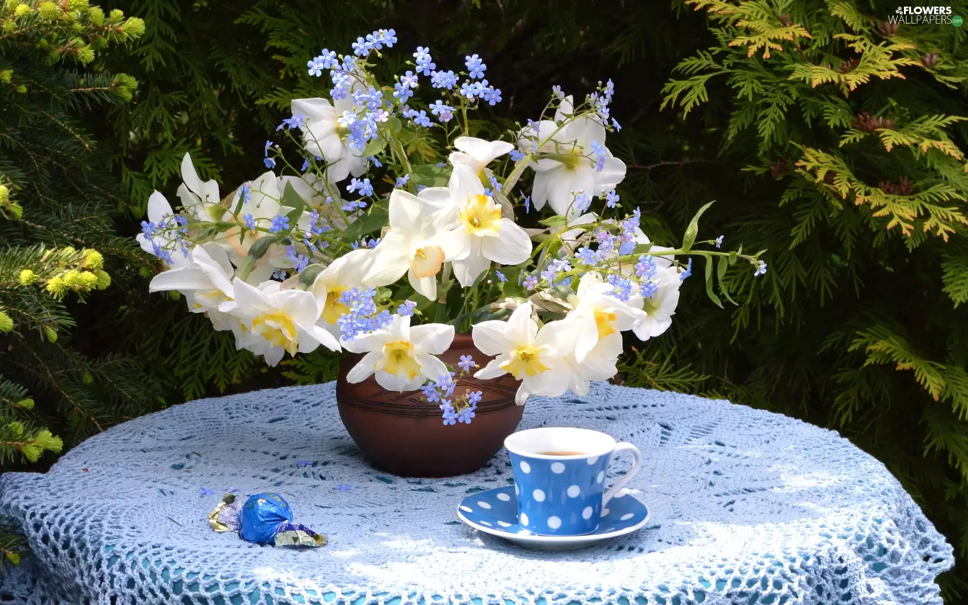 bouquet, Vase, tablecloth, cup, candy, Blue-eyed-Mary, narcissus, tea