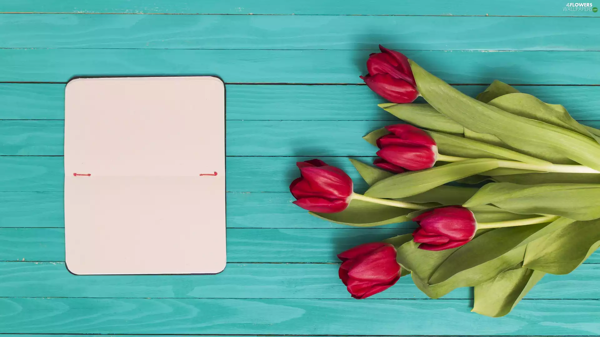 note-book, Tulips, bouquet