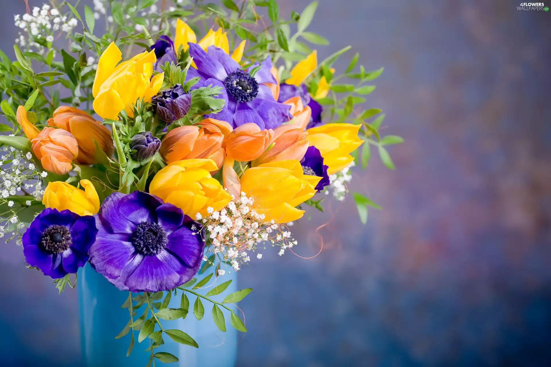 Tulips, Bouquet of Flowers, Anemones