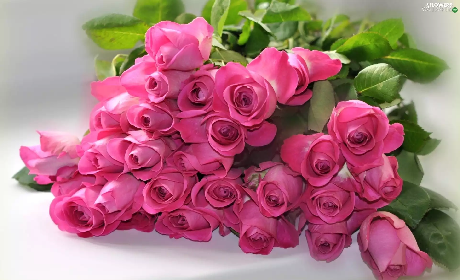 bouquet, roses, Pink