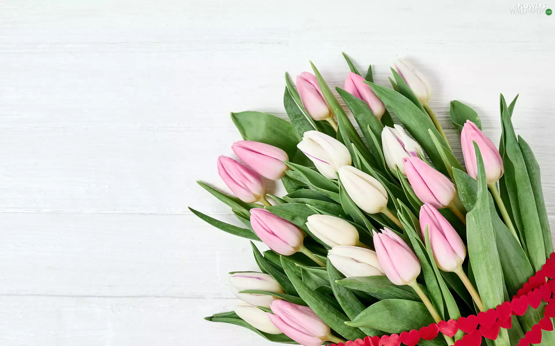 bouquet, Flowers, White, Pink, White, boarding, Red, hearts, Tulips