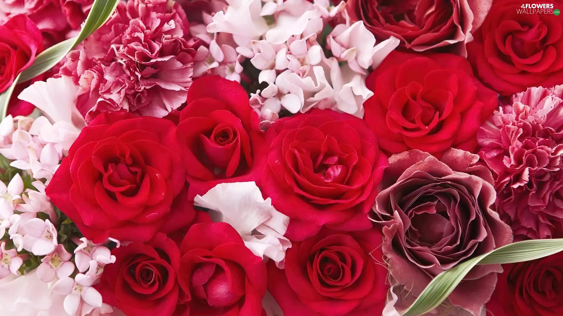 bouquet, color, roses