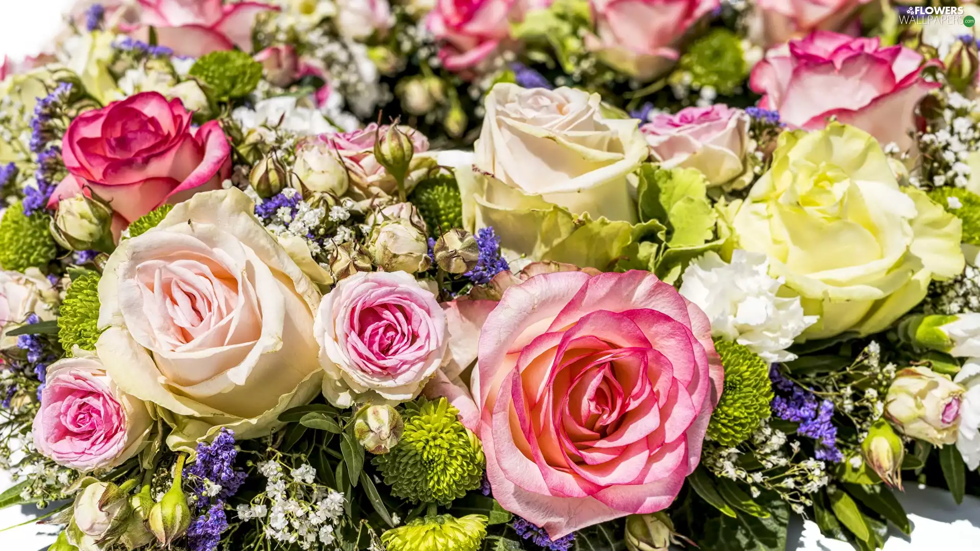 Multicoloured, bouquet, roses, color, Flowers