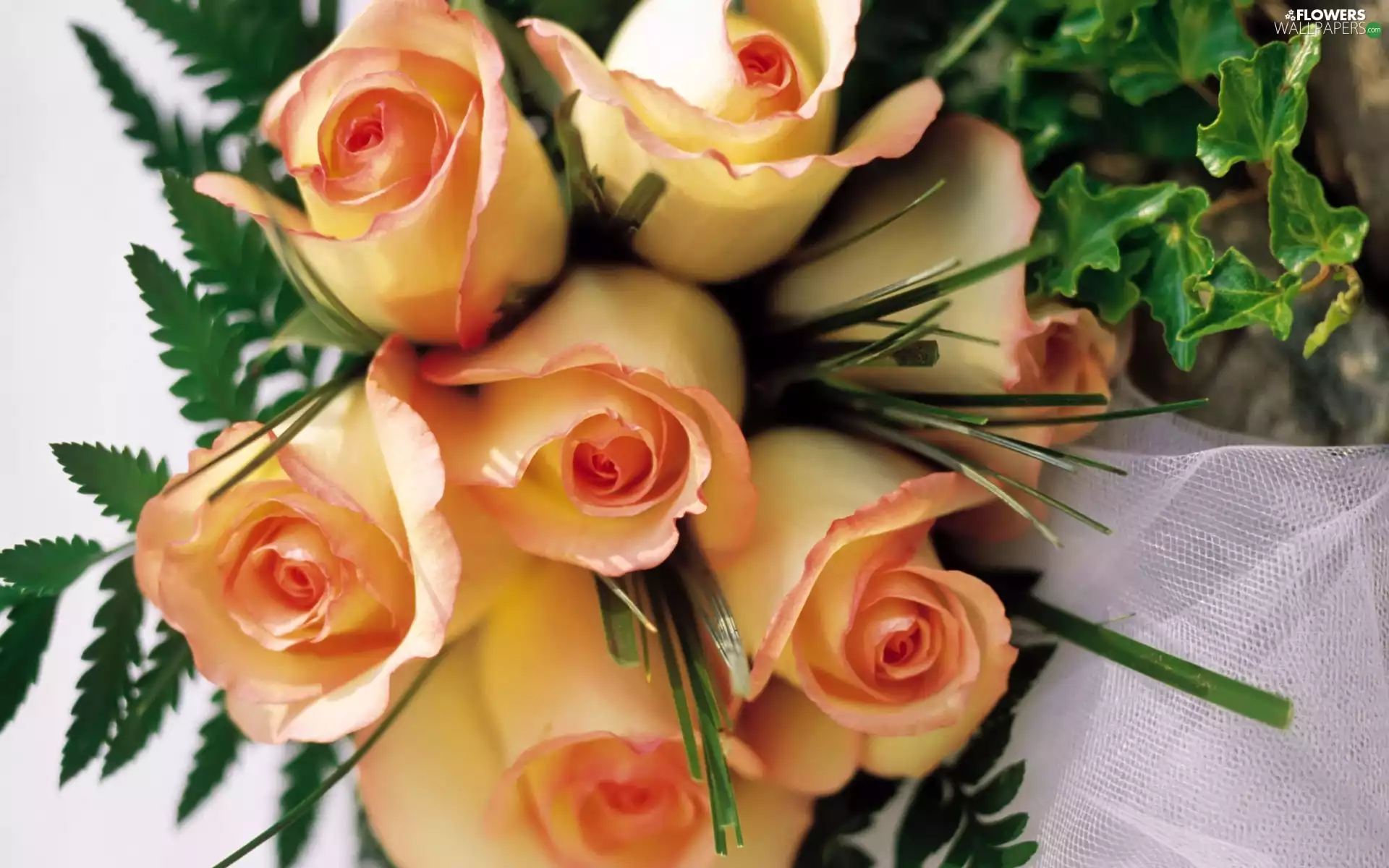 bouquet, green, roses