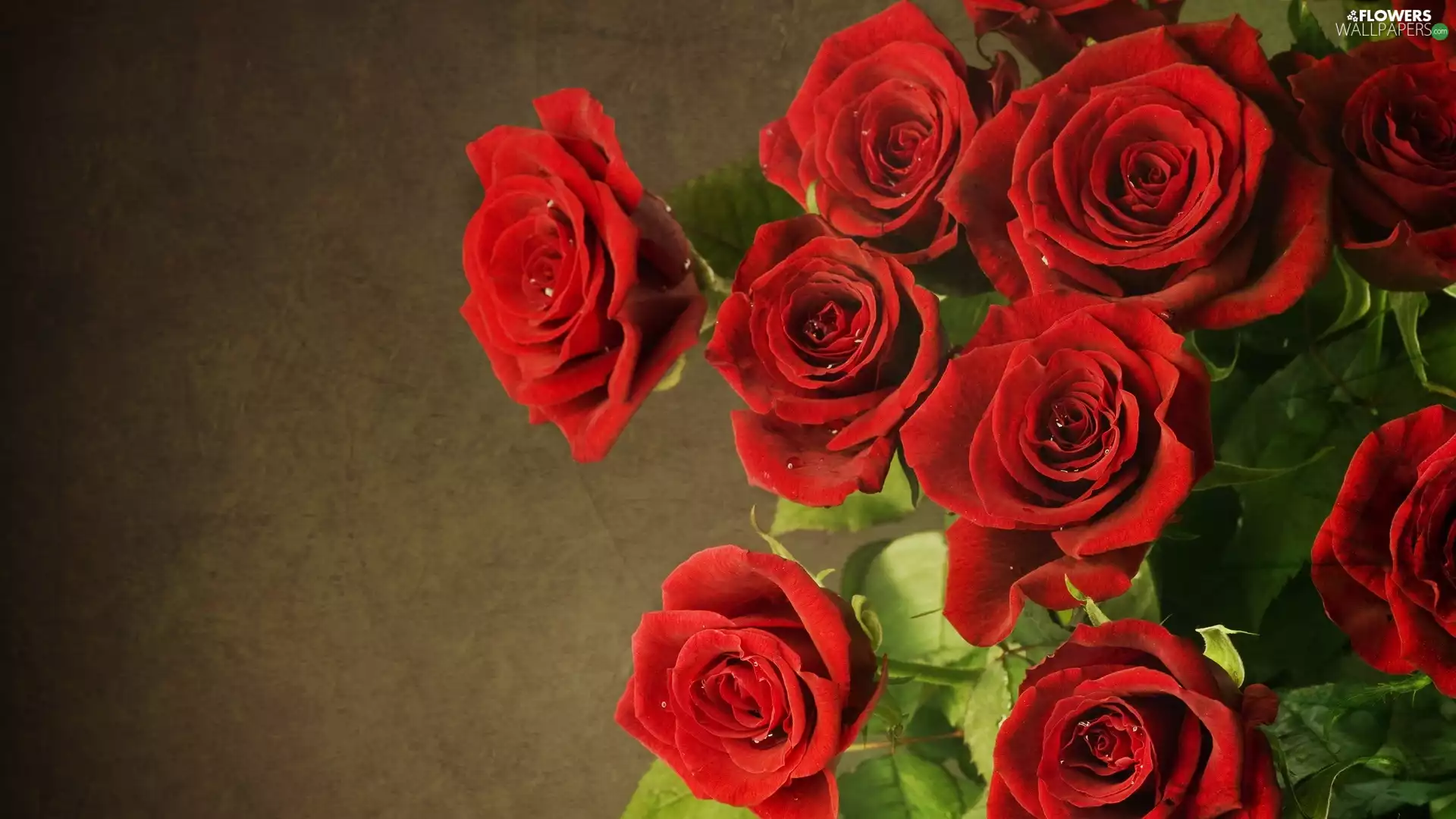 bouquet, Red, roses