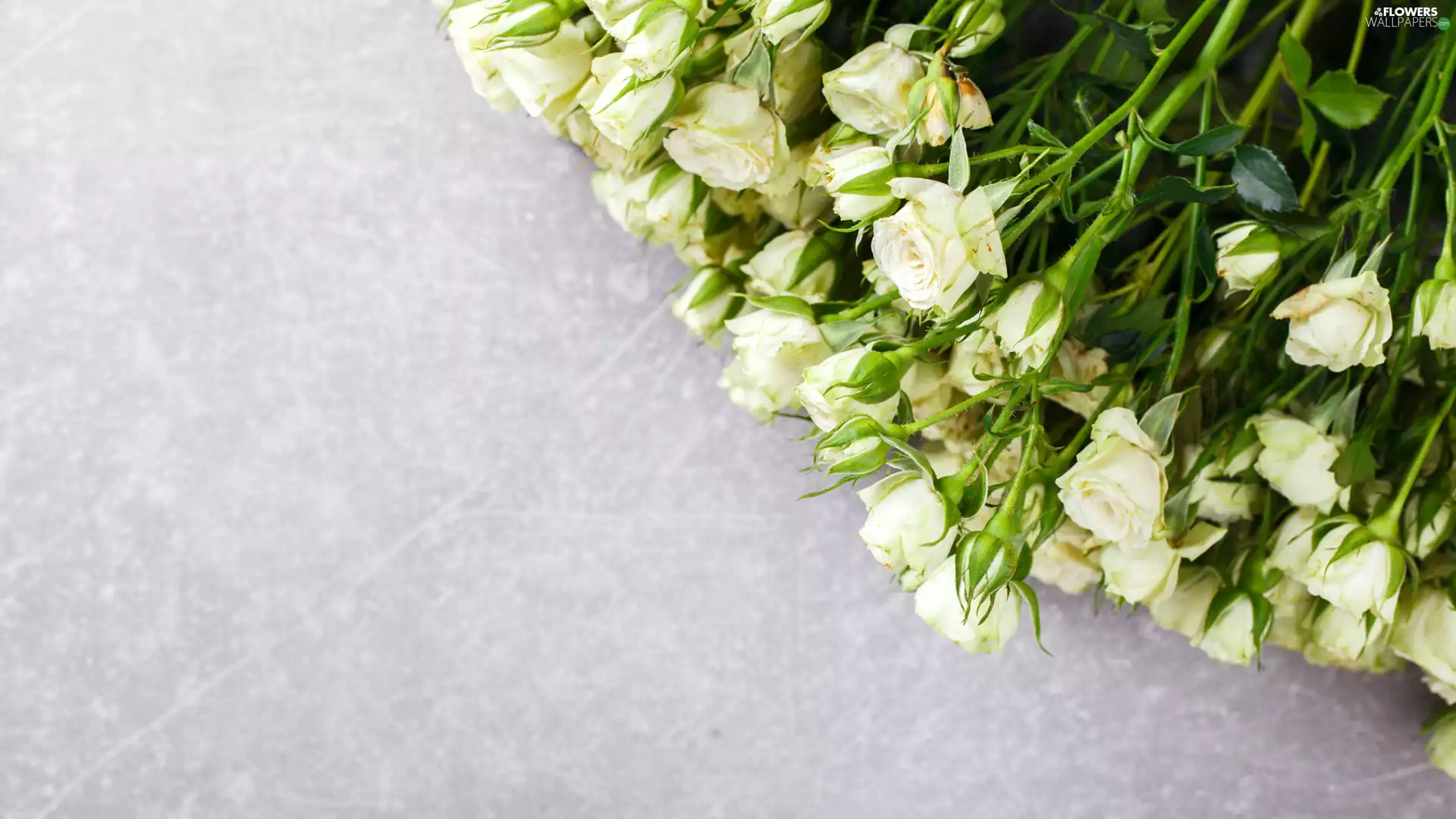 bouquet, White, roses