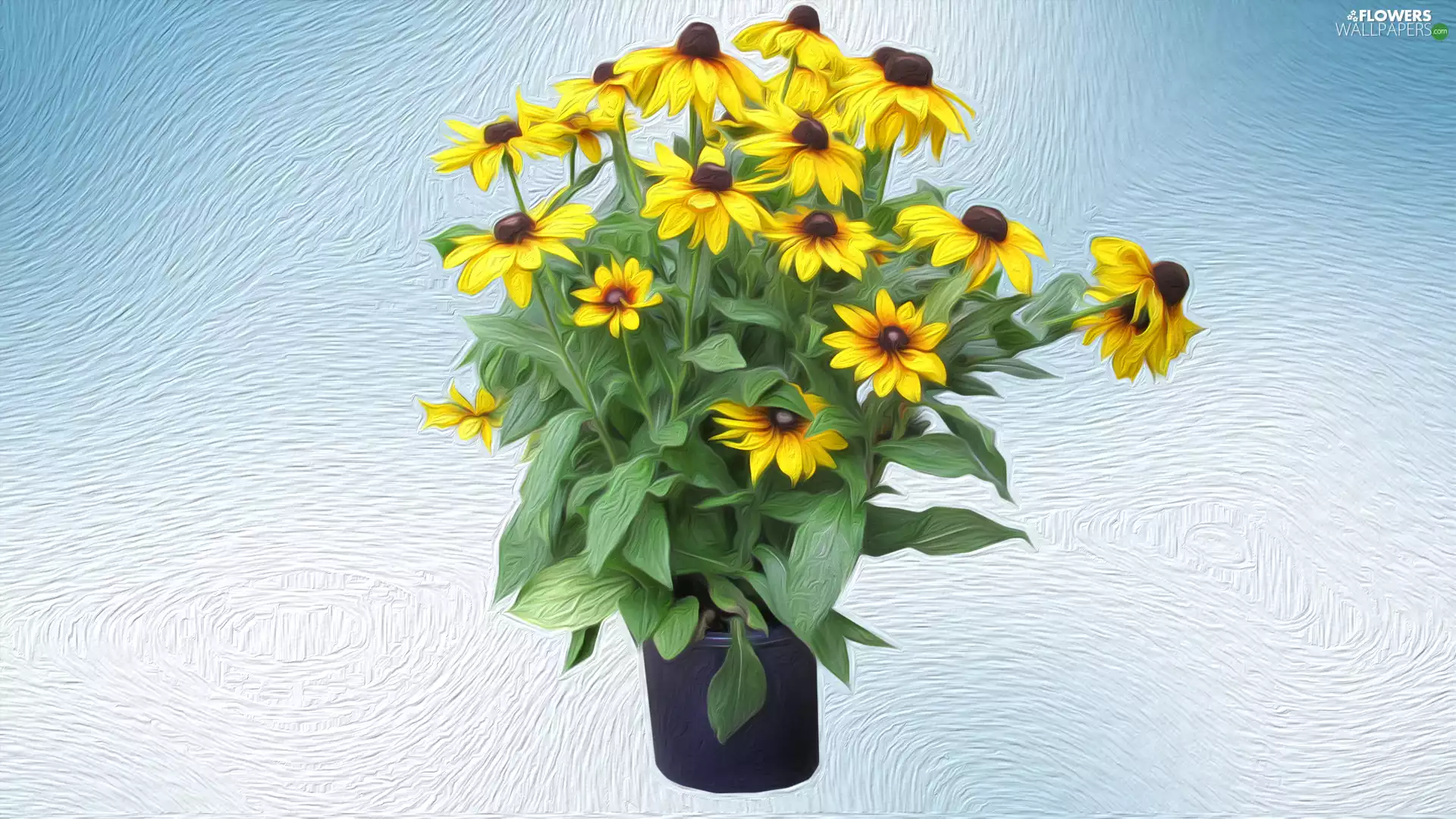 bouquet, Flowers, Rudbeckia