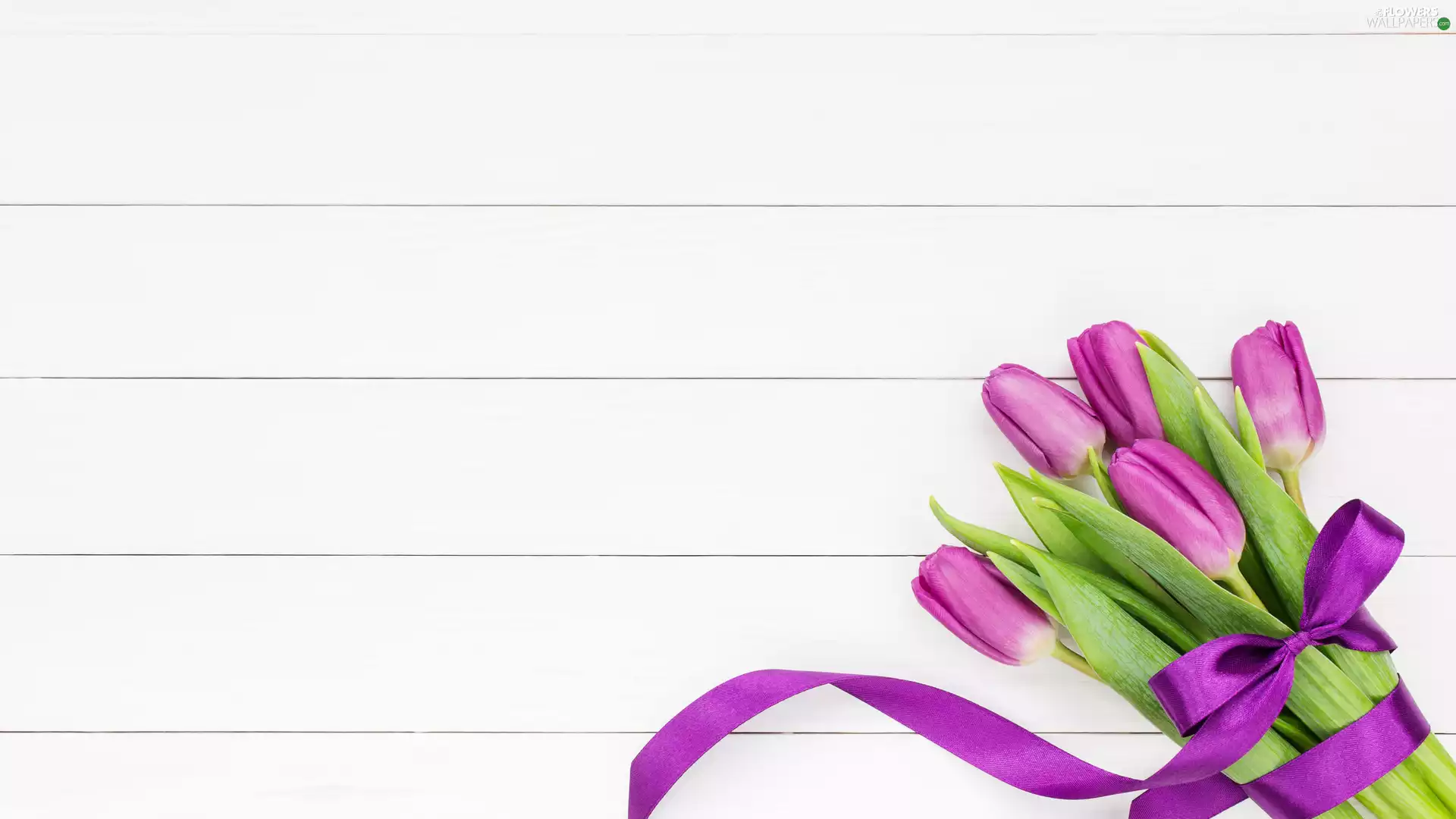 Tulips, Violet, ribbon, bouquet