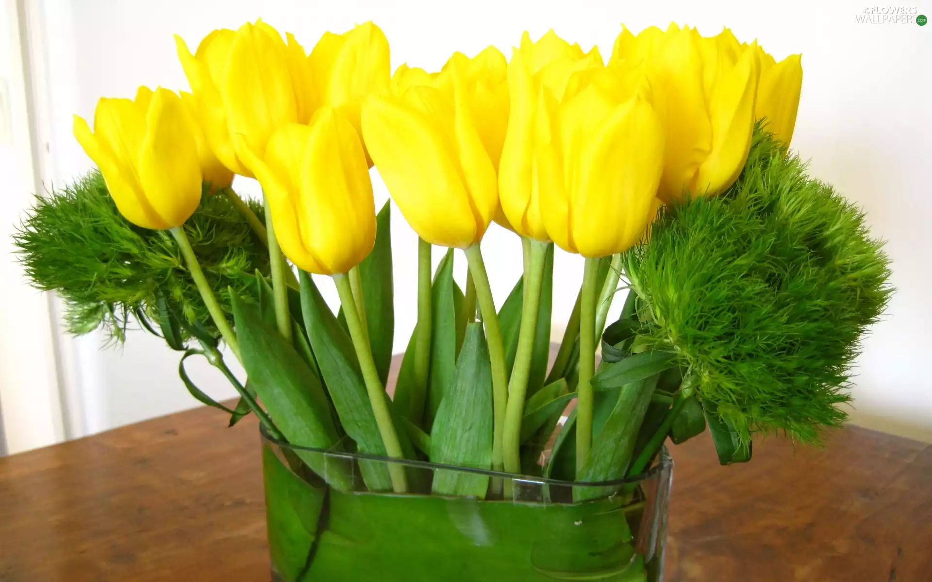 bouquet, Yellow, Tulips