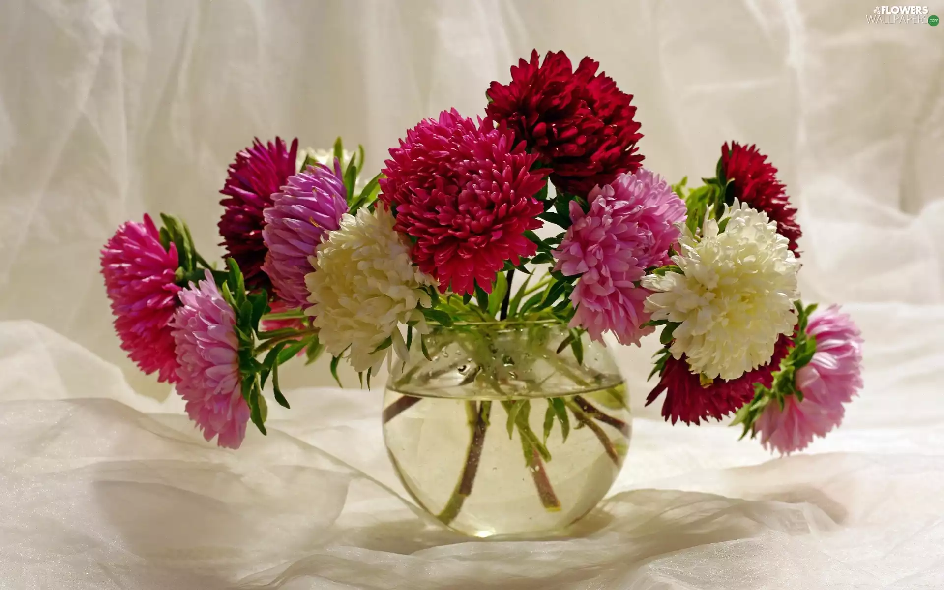 Vase, Flowers, Astra, bouquet