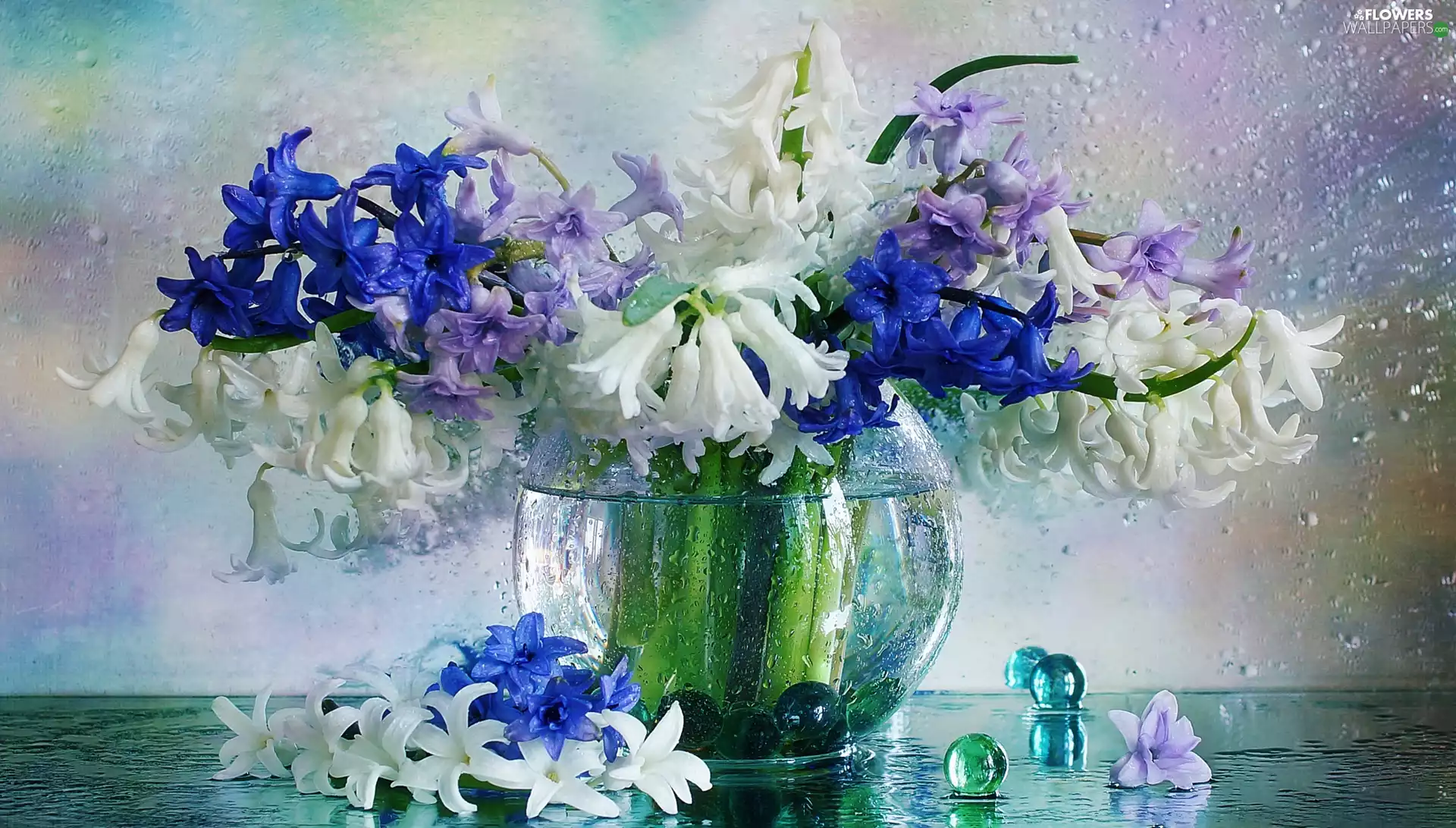 Vase, Hyacinths, drops, bouquet
