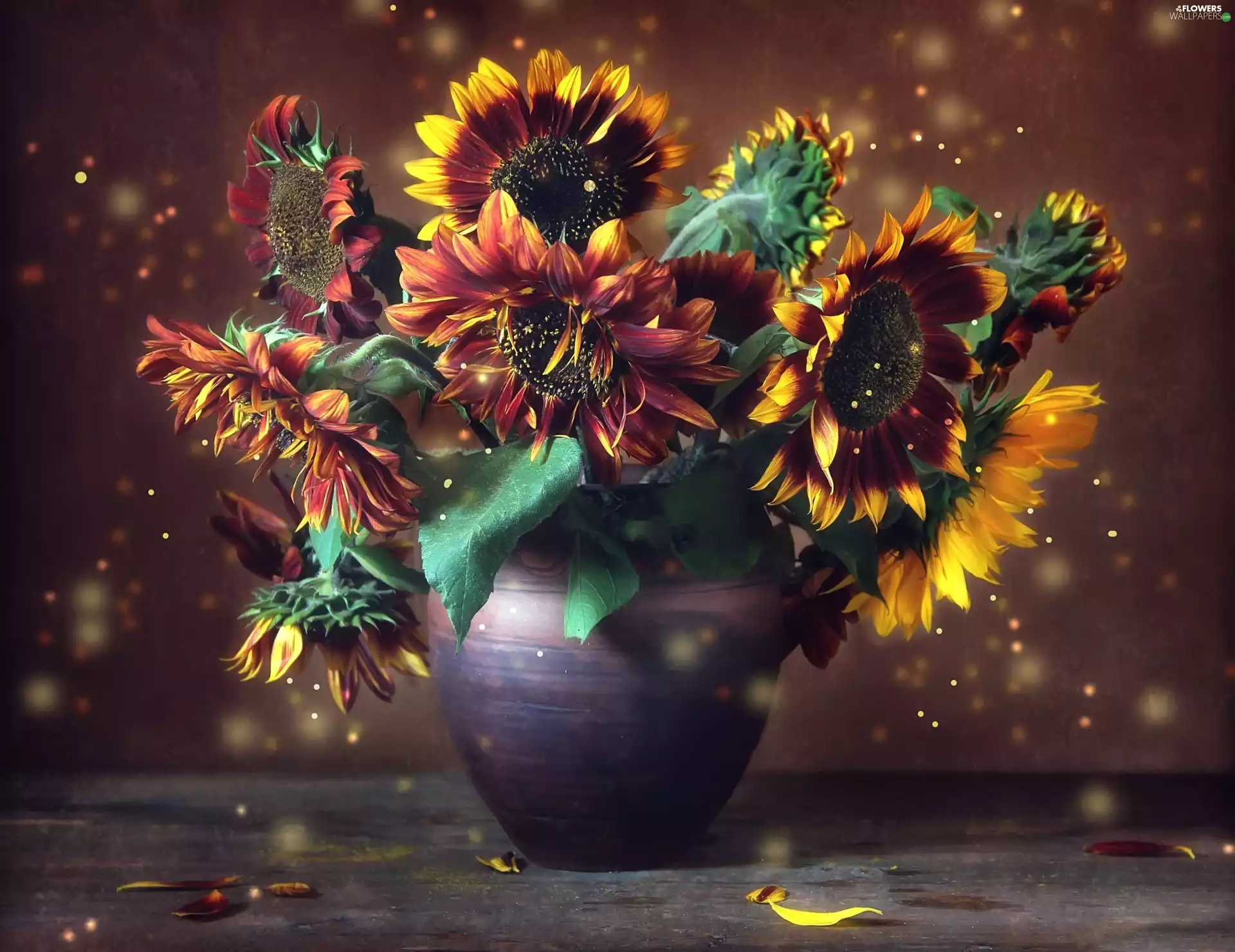 Vase, Nice sunflowers, bouquet