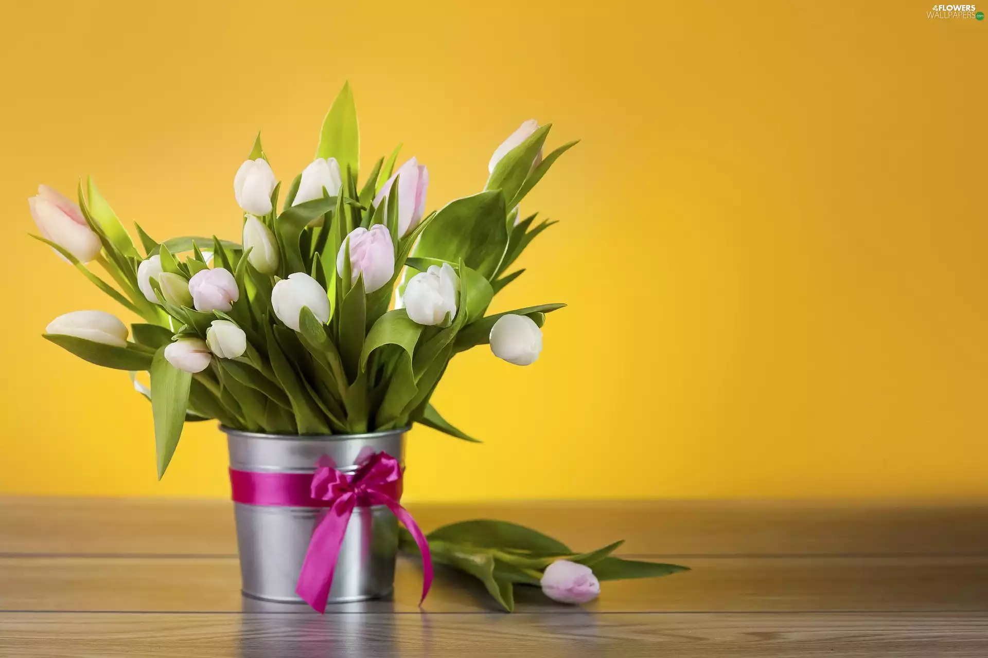 bouquet, Tulips, Vase