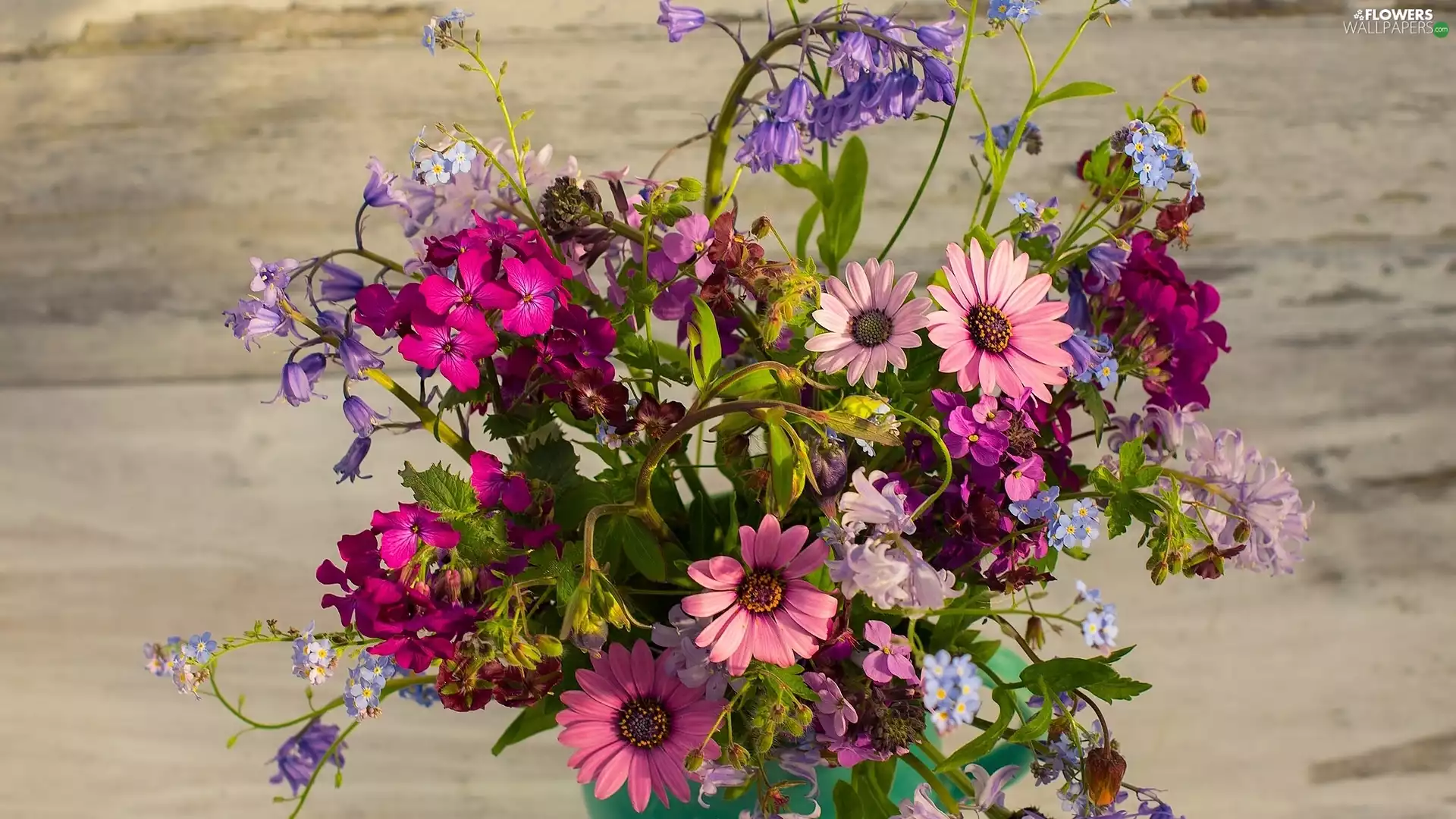 bouquet, Flowers, Wildflowers
