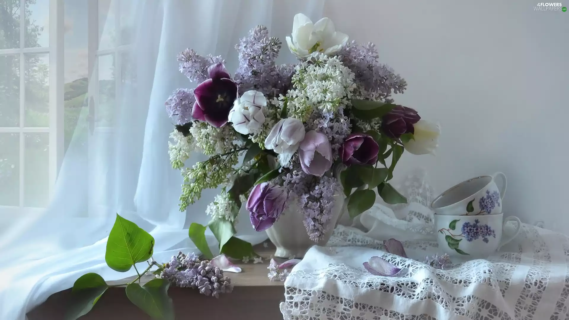 Tulips, Flowers, cups, bouquet, Vase, without