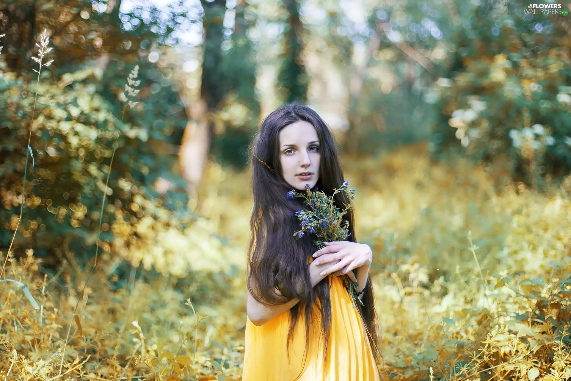 Yellow Honda, Women, bouquet, flowers, dress, brunette