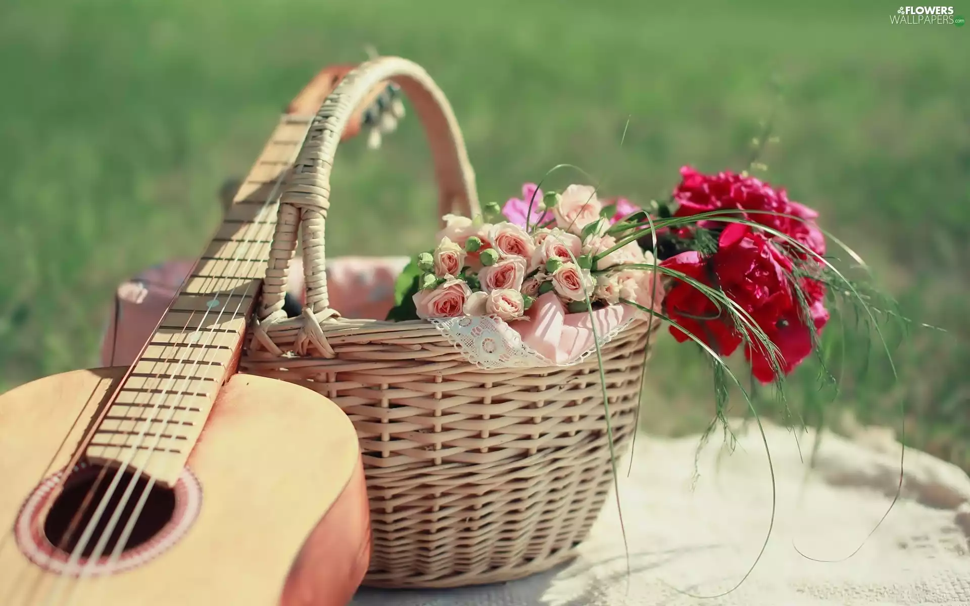 basket, flowers, Guitar, Bouquets