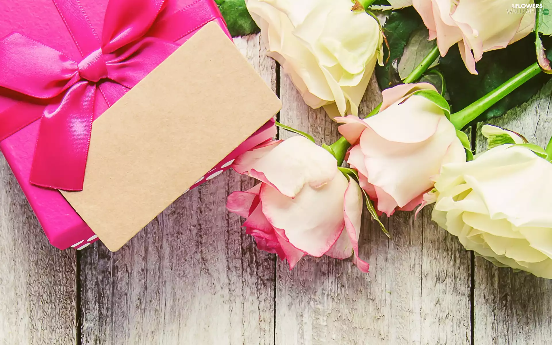 Pink, bow, Present, card, roses