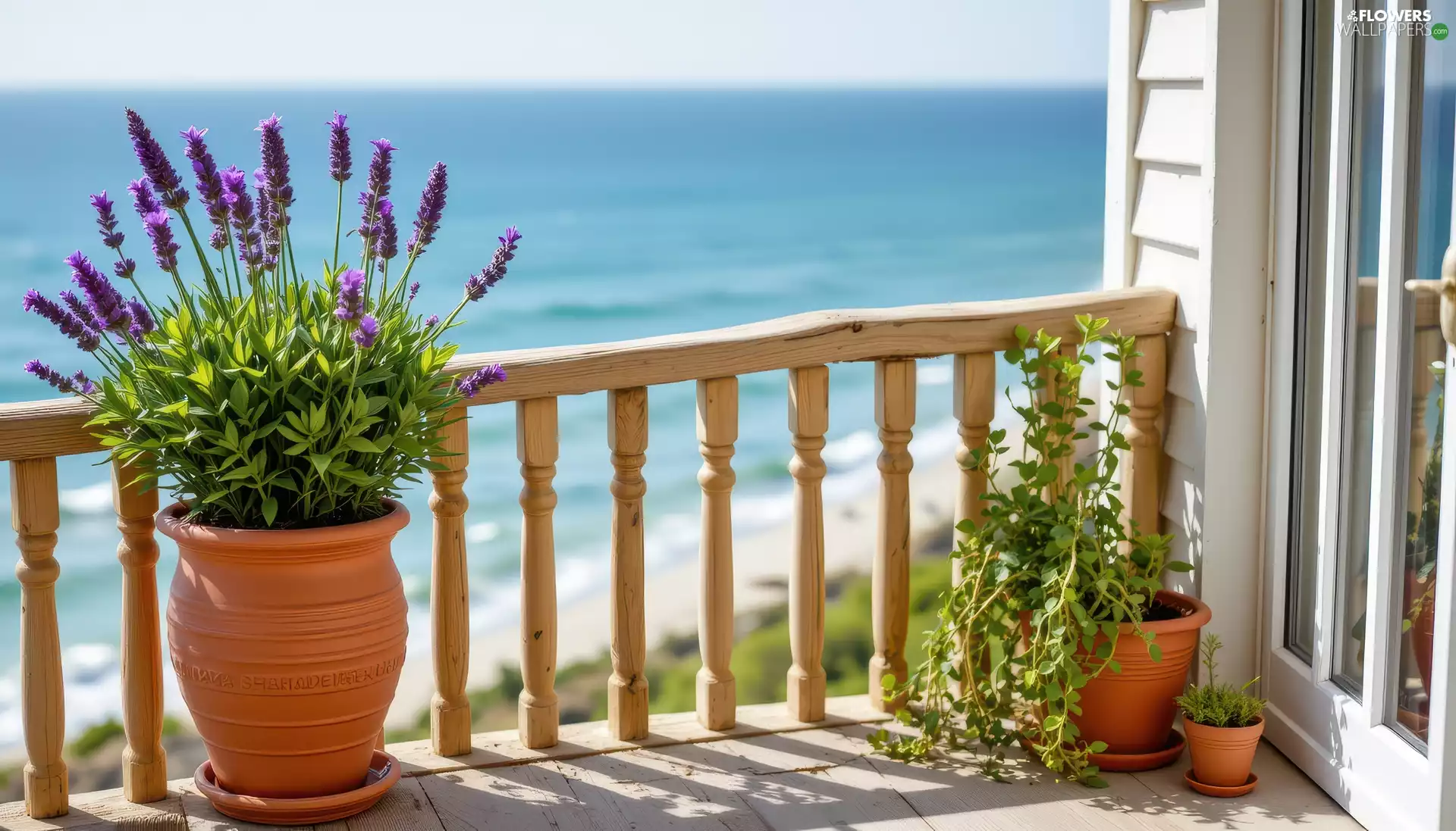Balcony, lavender, sea, bowl