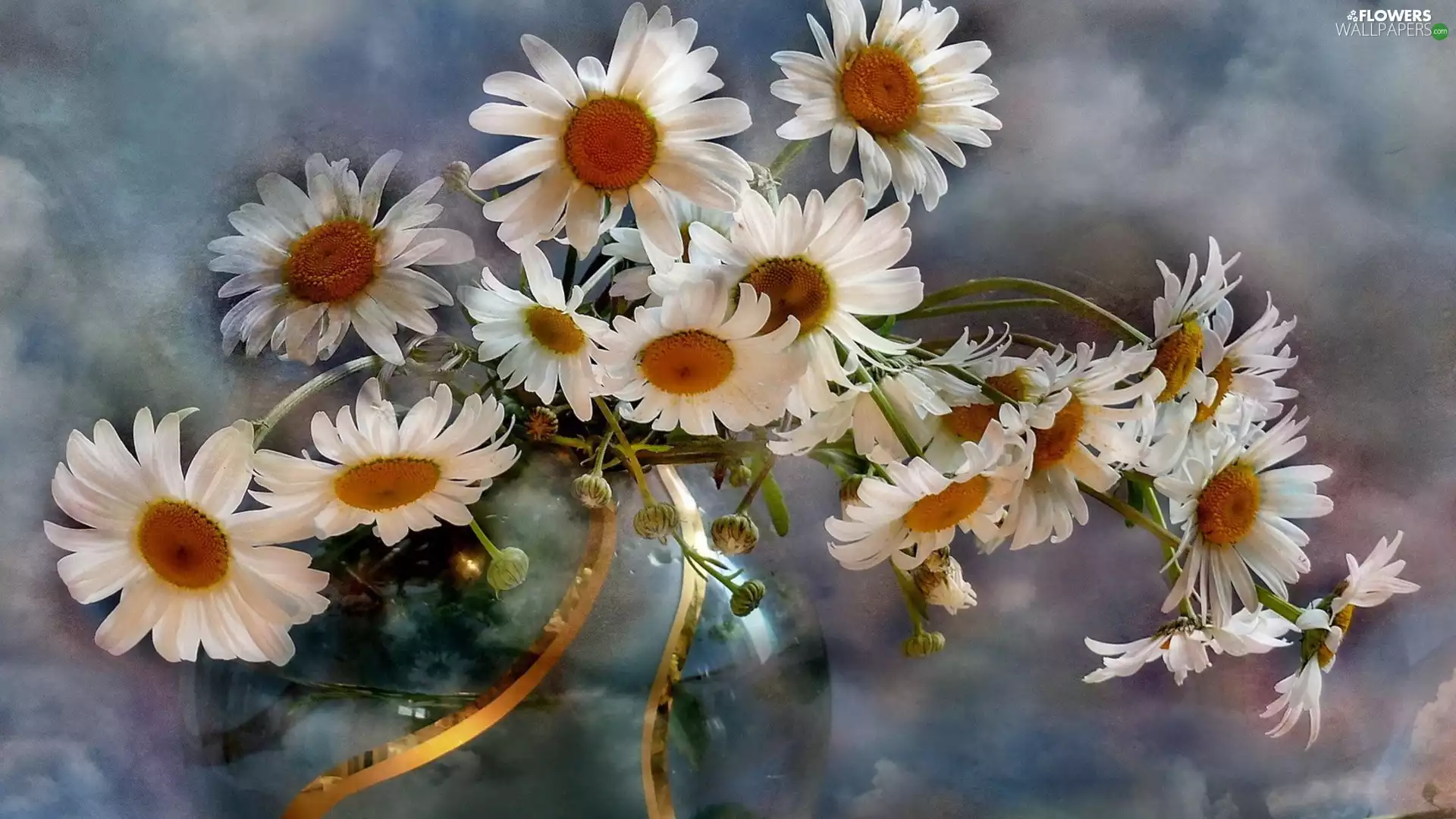 bowl, chamomile, bouquet
