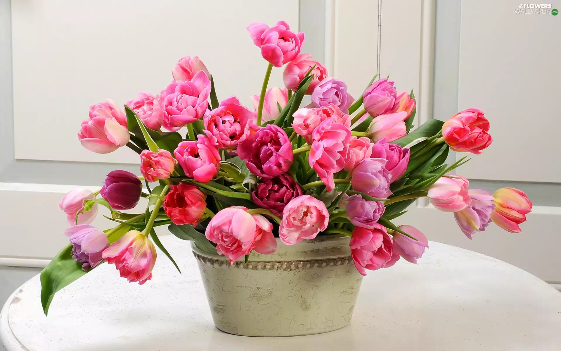 color, bowl, bouquet, Tulips, Flowers