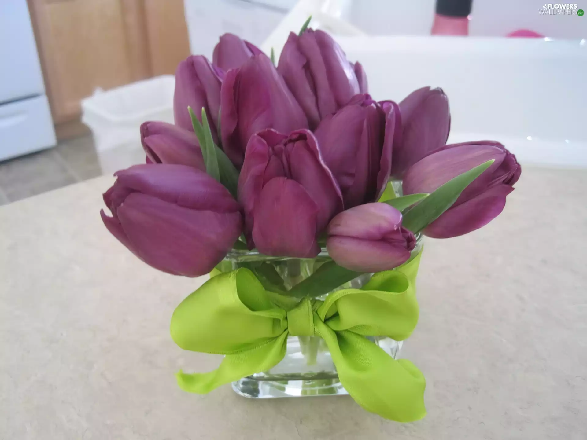 purple, ribbon, bowl, Tulips
