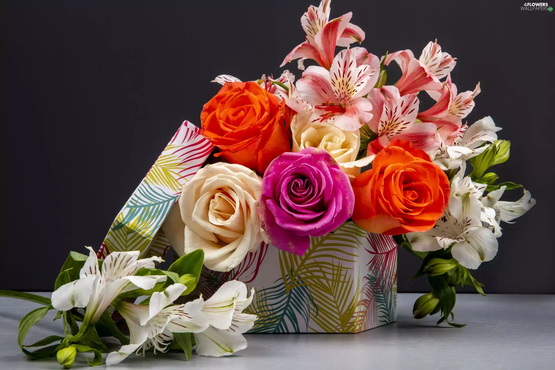 Alstroemeria, Box, color, roses, Flowers