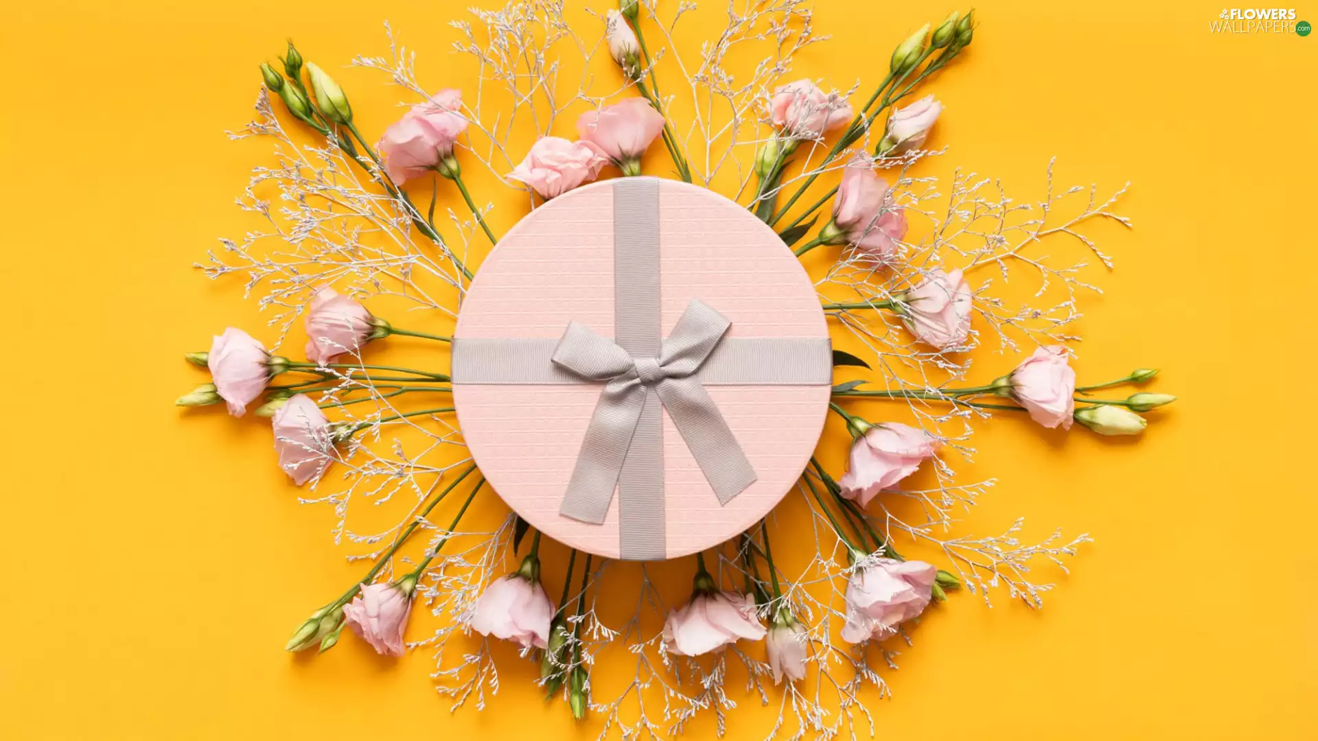 Box, Flowers, Eustomy