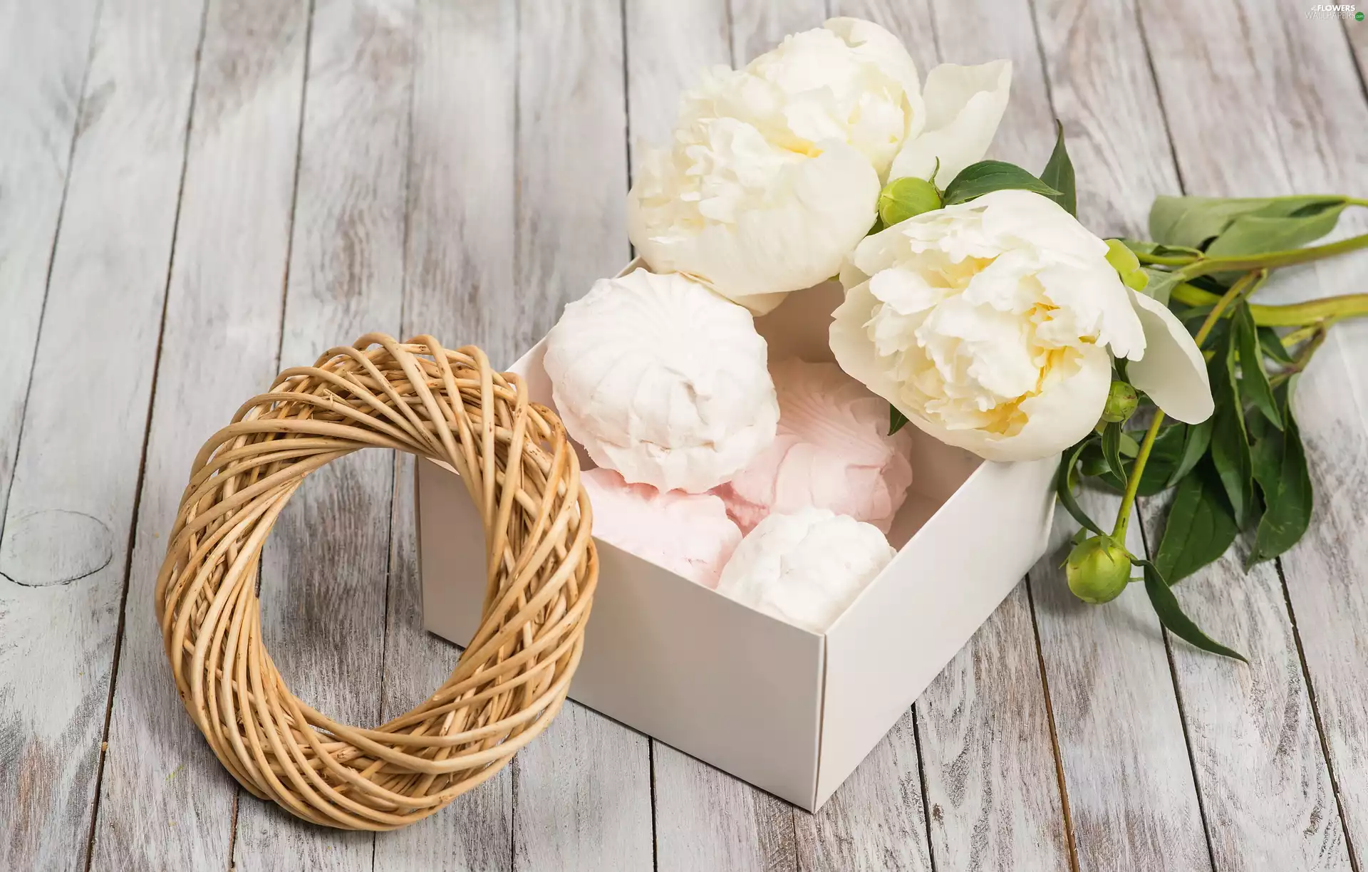 meringues, Box, Flowers, Peonies, composition