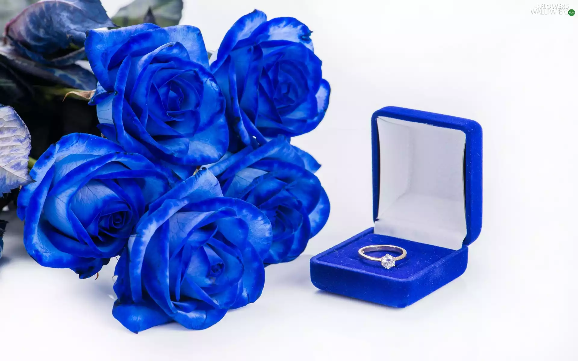 roses, engagement, Ring, bouquet, Love things, Blue, Box