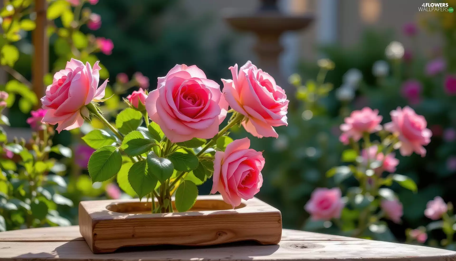 Wooden, box, roses, Pink, Flowers