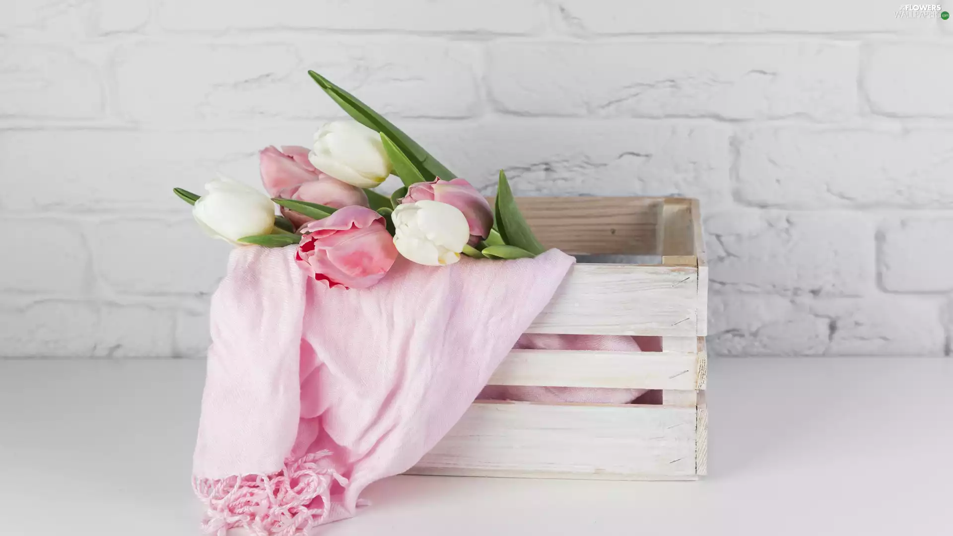 Tulips, Pink, shawl, box
