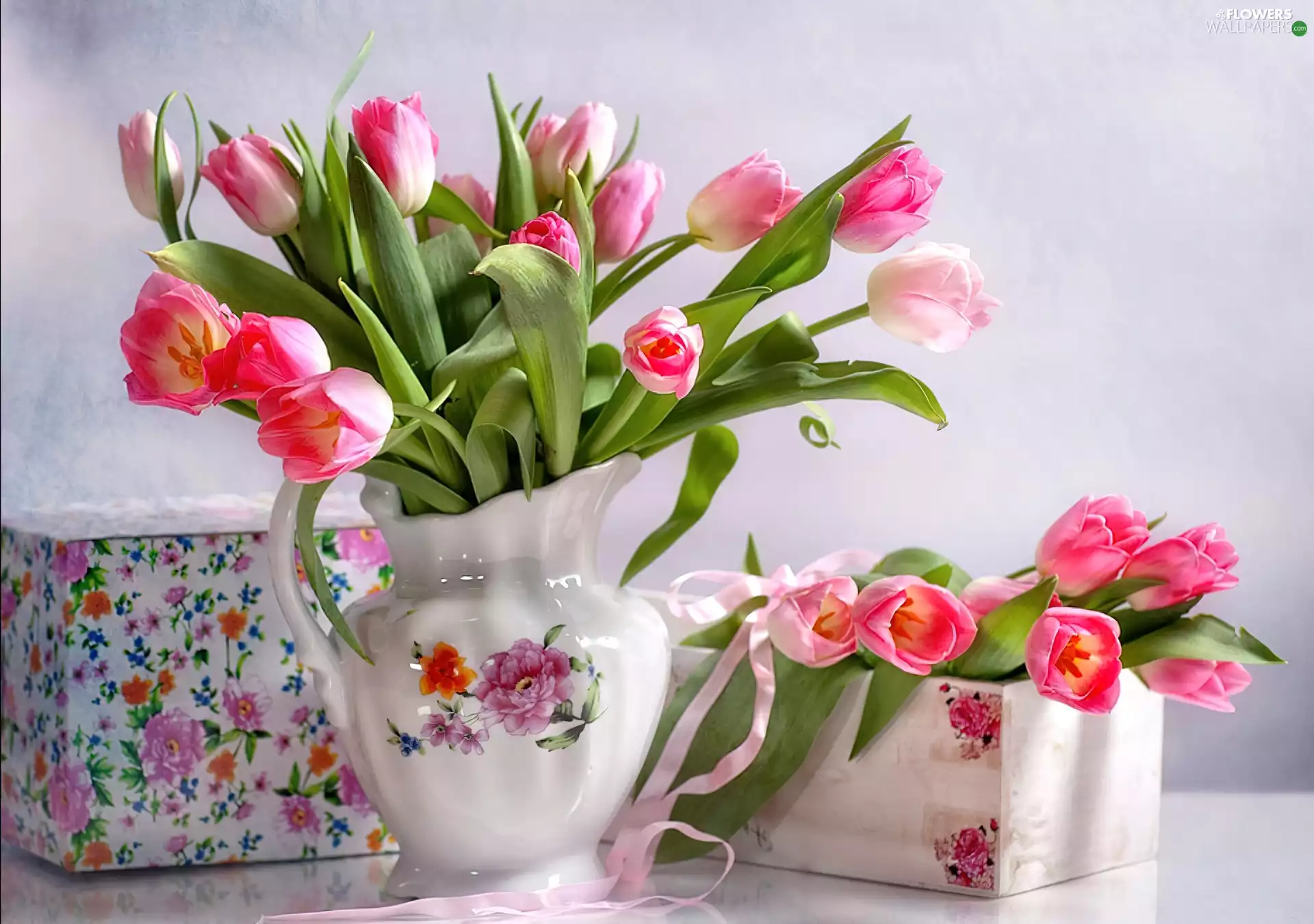 Boxes, pitcher, Tulips