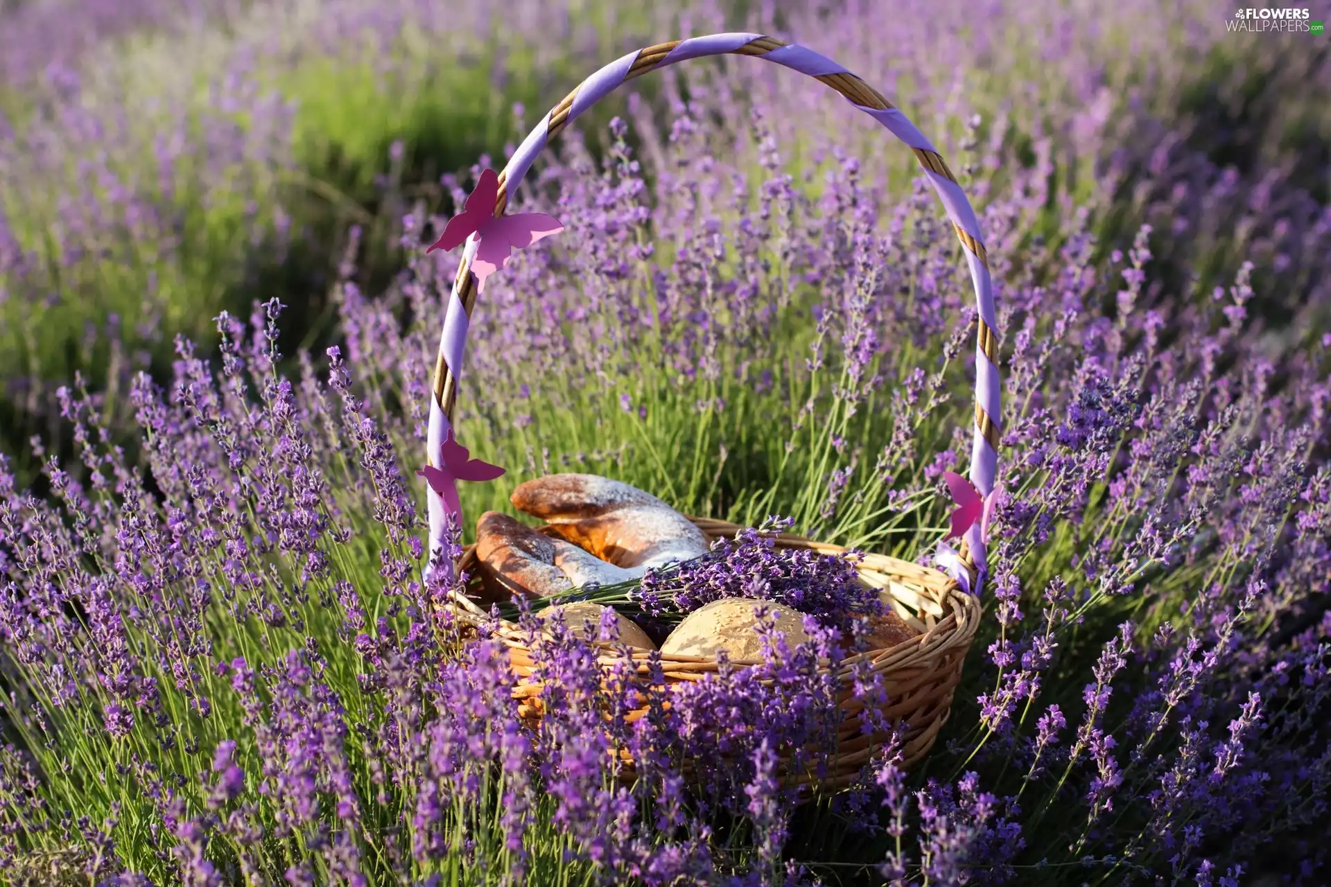 bread, lavender, basket