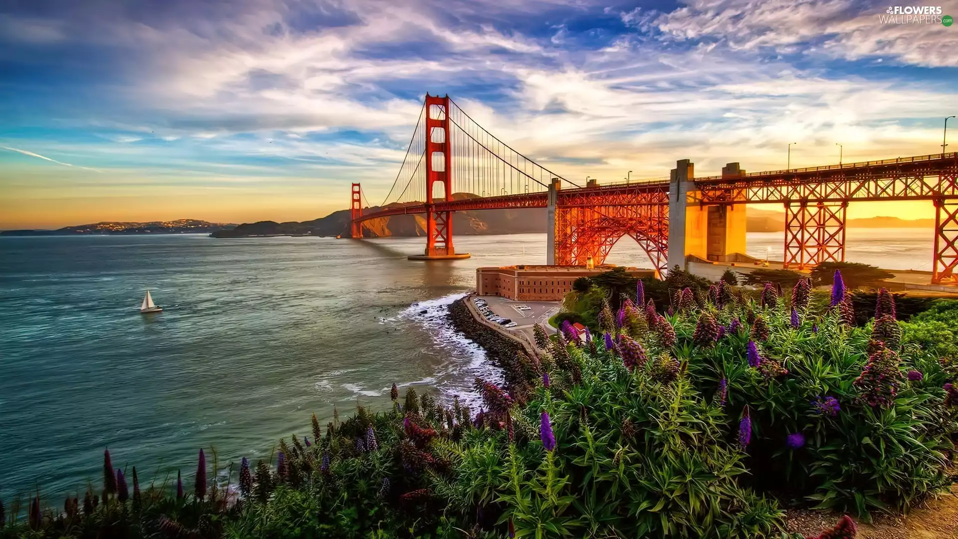 River, Great Sunsets, lupins, The Golden Gate Bridge