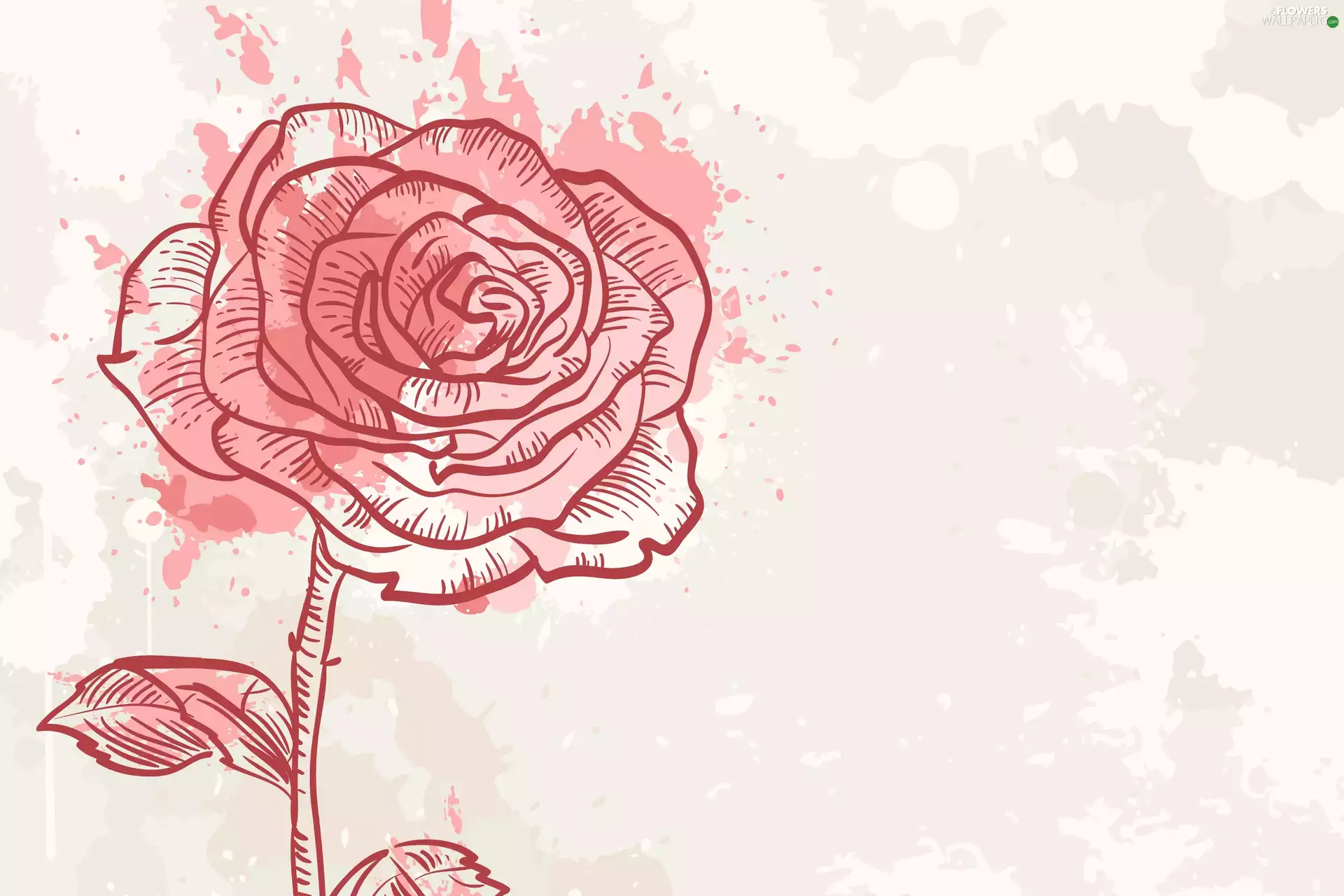 rose, Bright, background, 2D Graphics