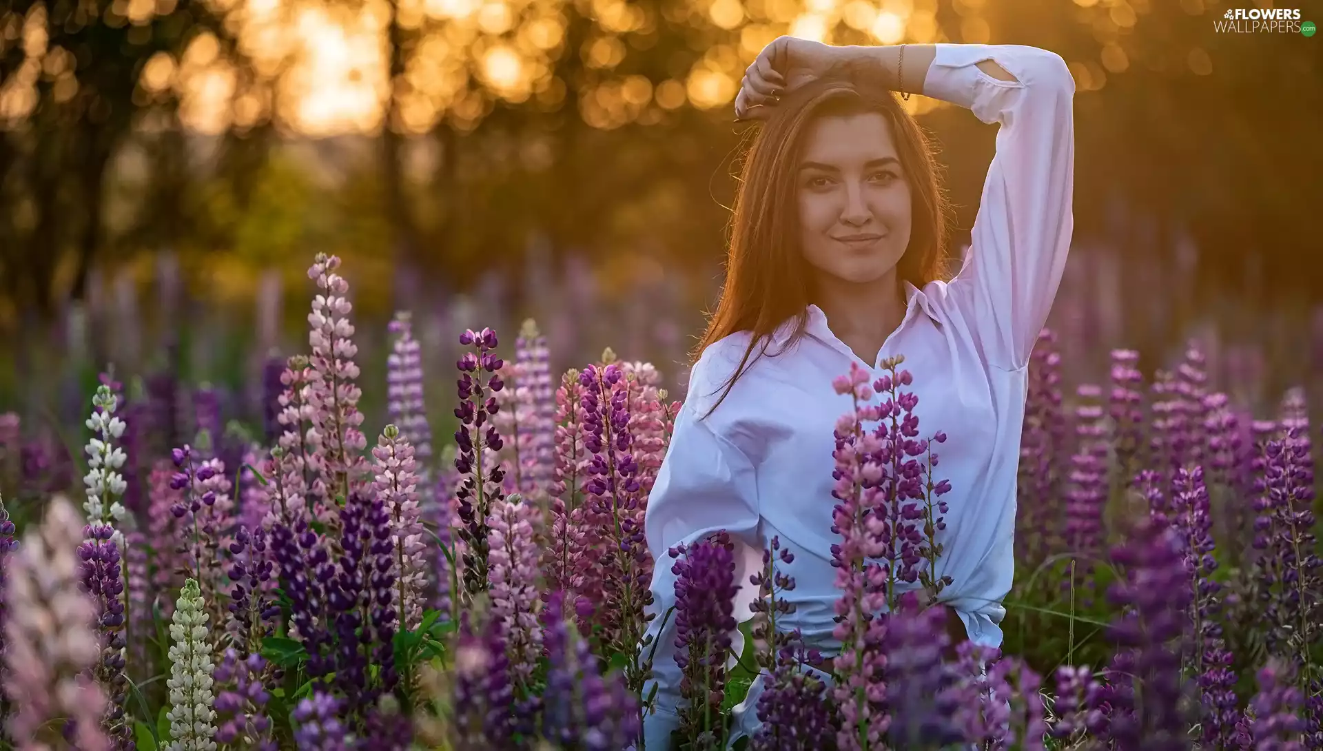 light brown, Flowers, lupine, Women