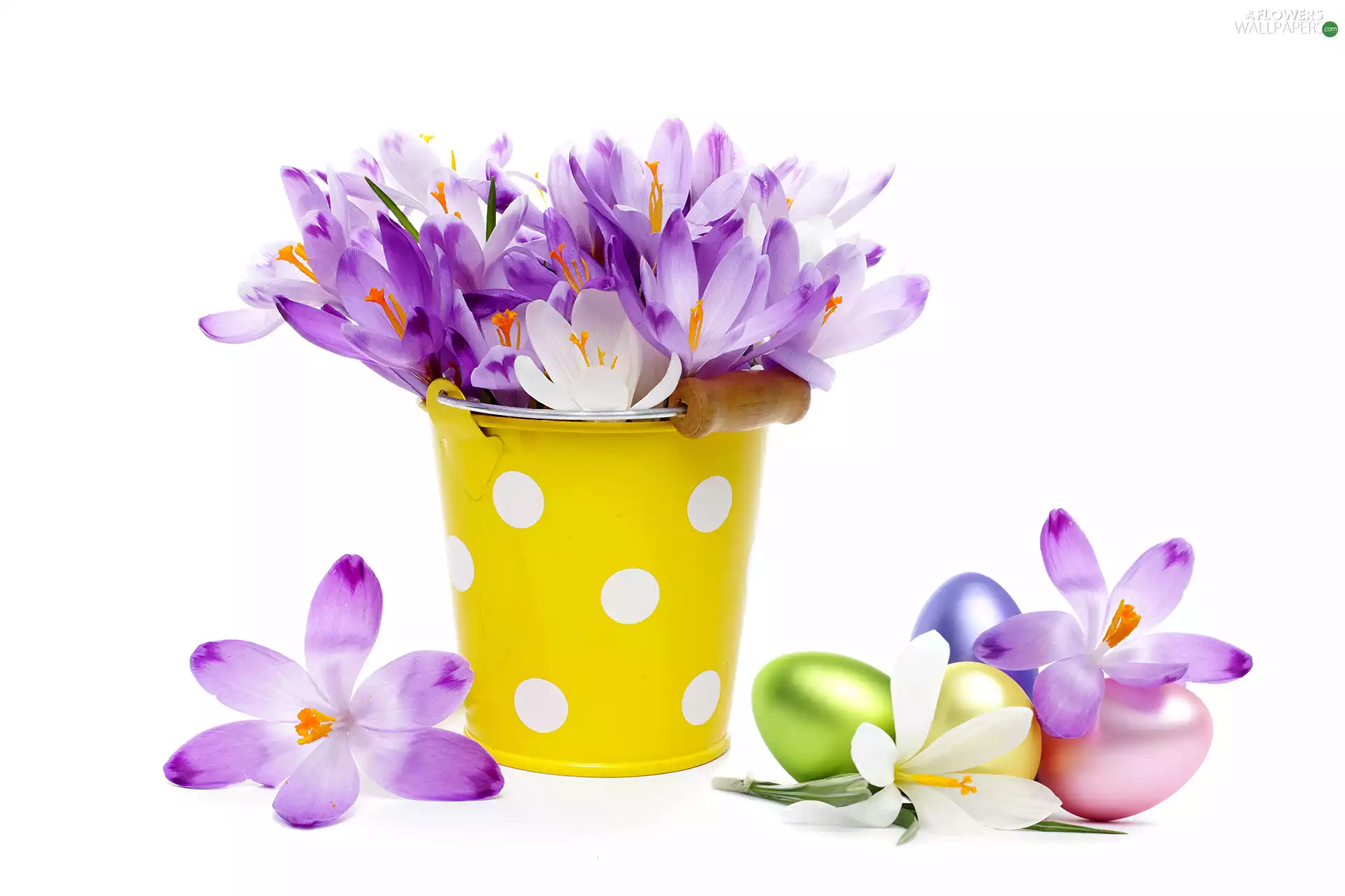 eggs, Bucket, composition, crocuses, Easter