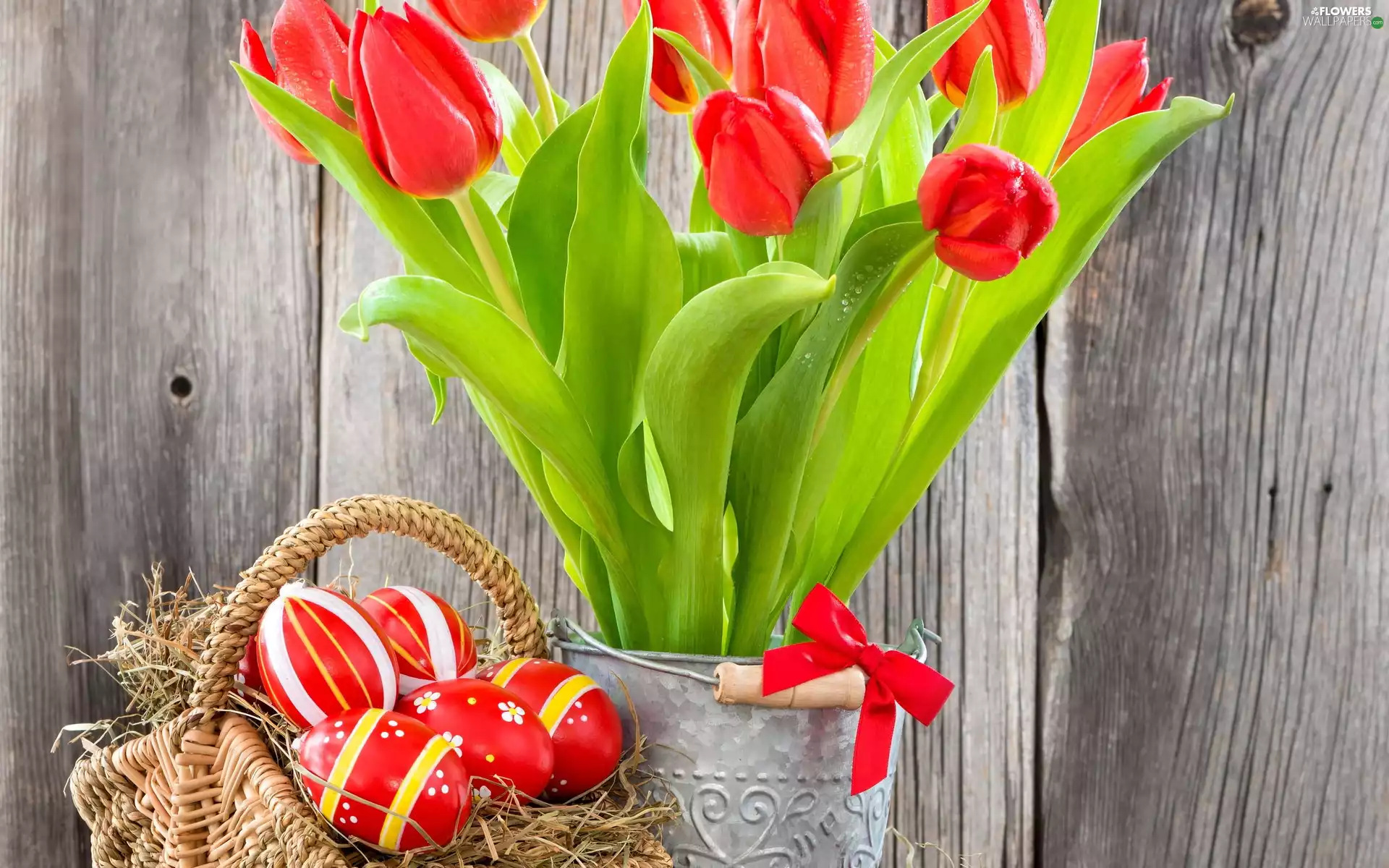 bow, bucket, eggs, Tulips, basket
