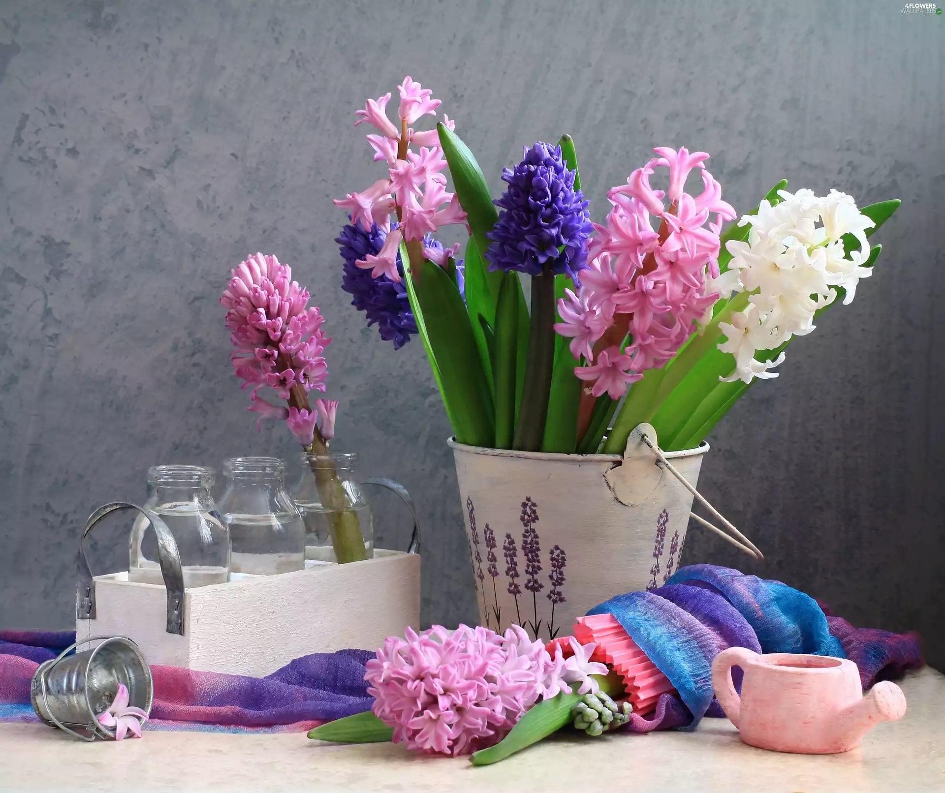 Flowers, Bucket