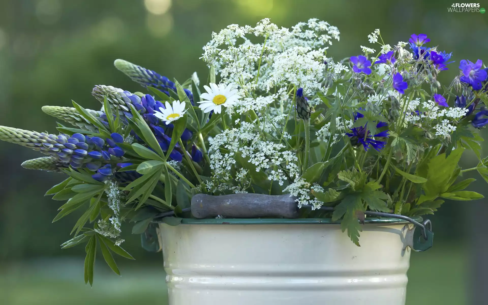 lupine, bucket, Wildflowers, bouquet, Flowers