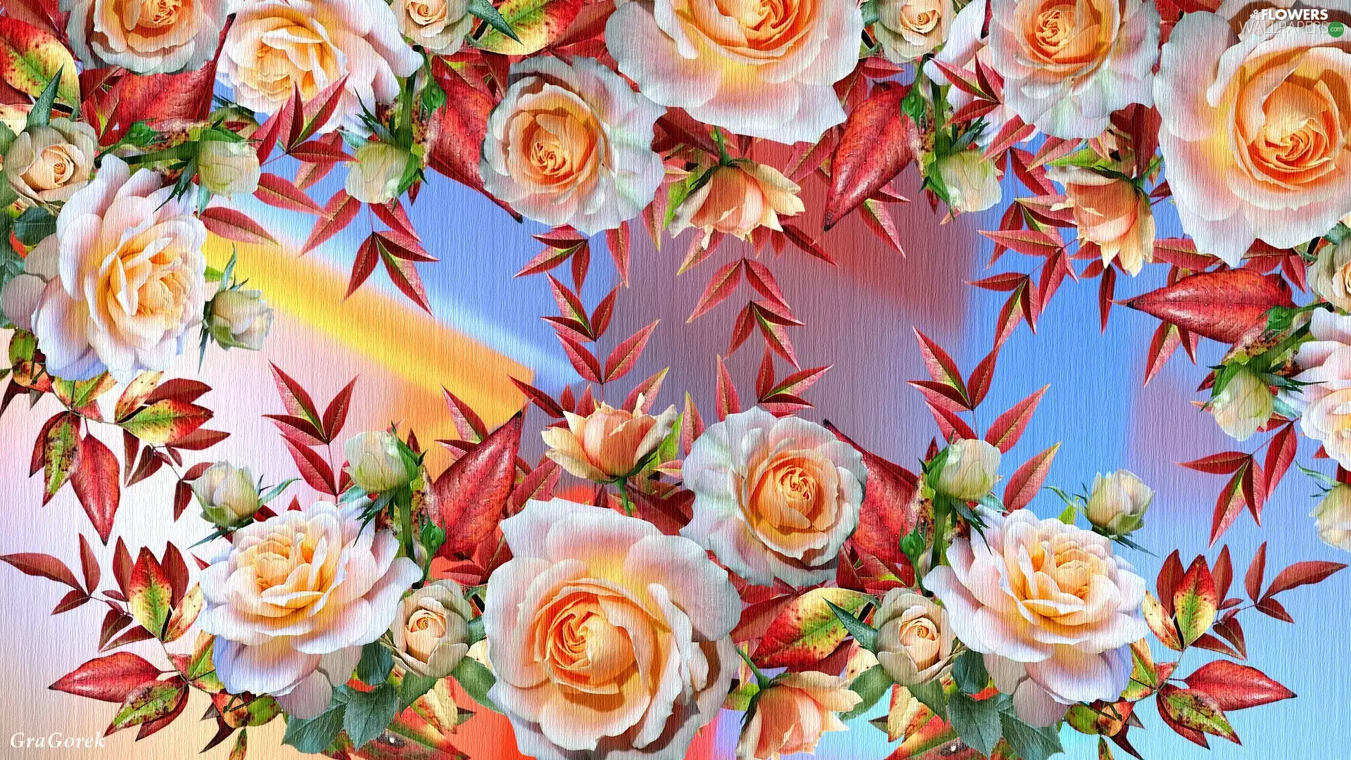 Flowers, Buds, 2D Graphics, roses