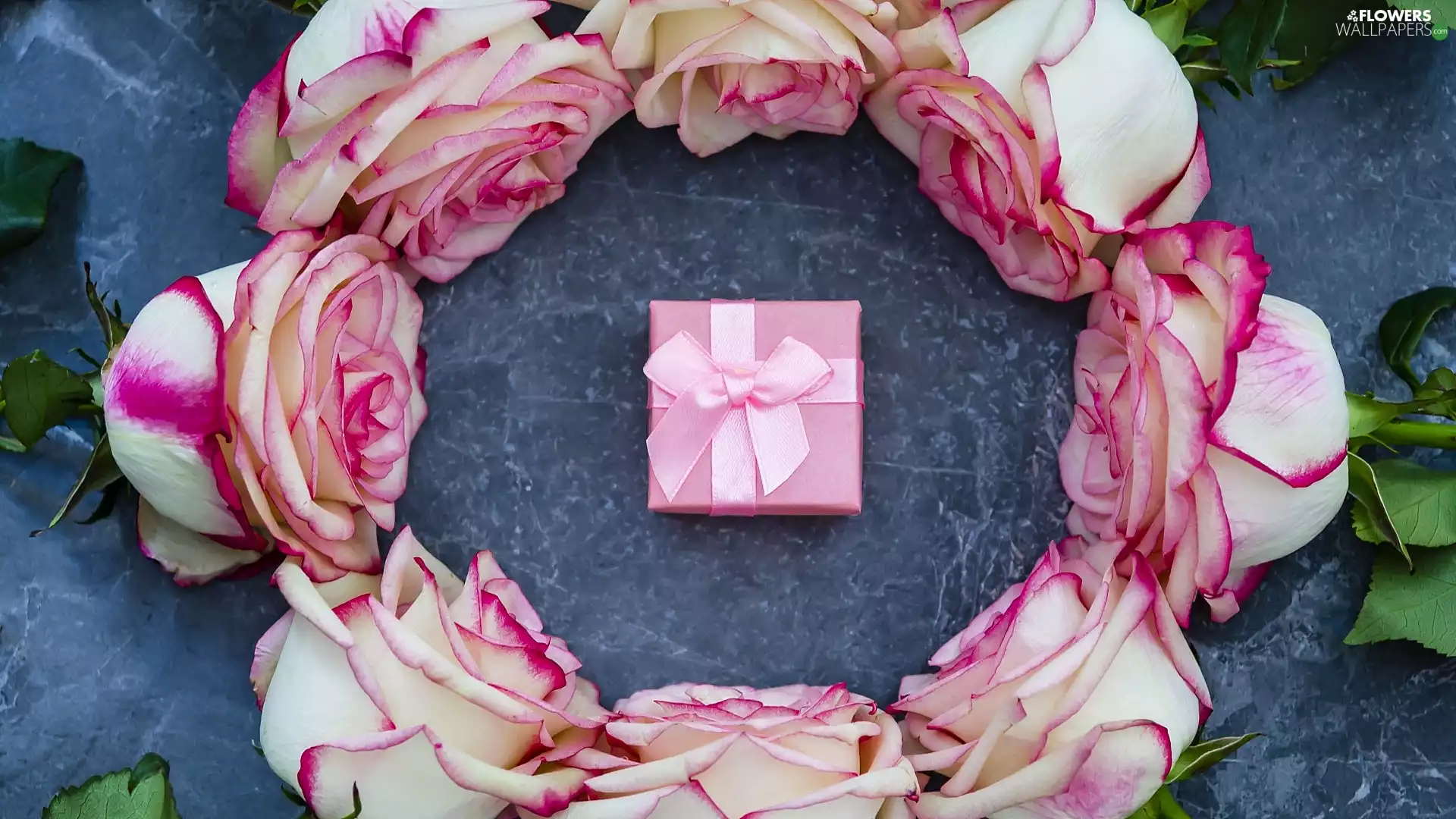 leaves, Present, roses, Buds, Pink-White