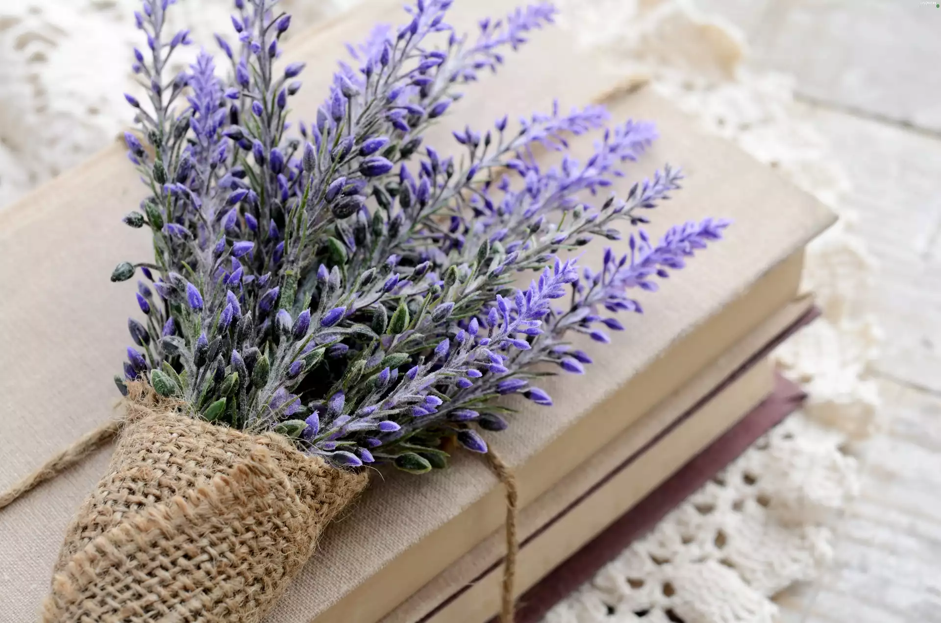 small bunch, books, Bench, lavender