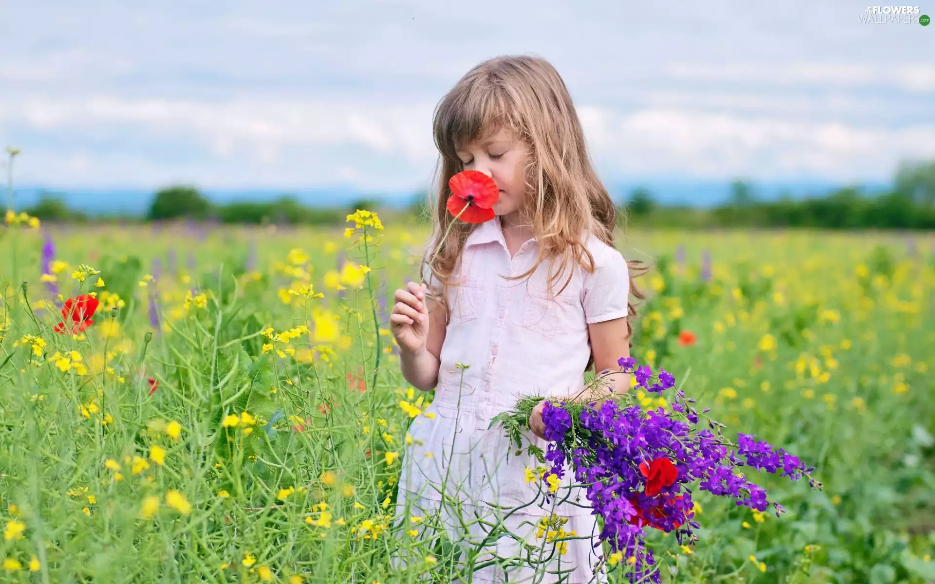 flowers, Meadow, small bunch, wild, girl