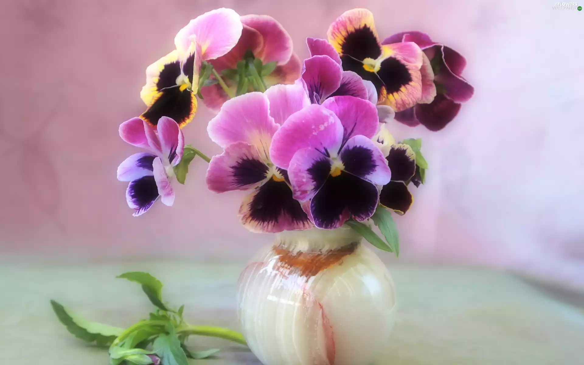 pansies, vase, small bunch