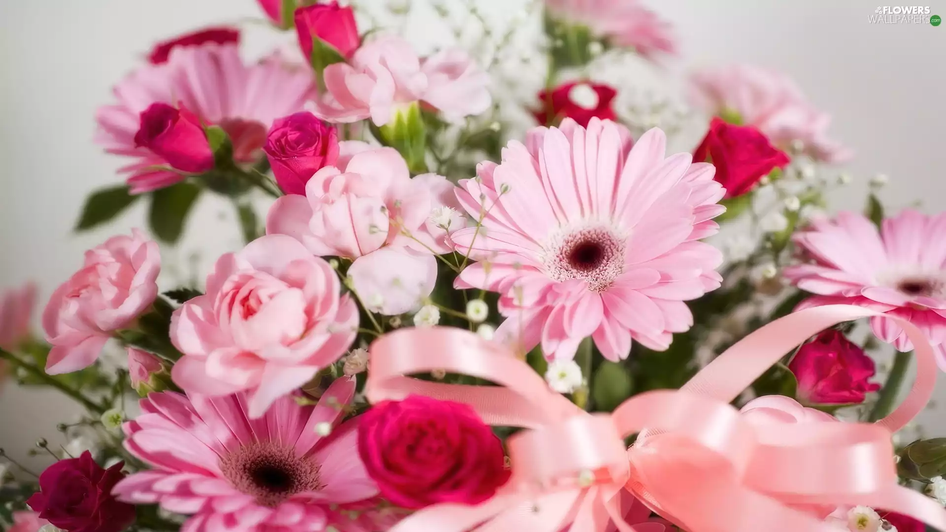 small bunch, Pink, Flowers, Ribbons