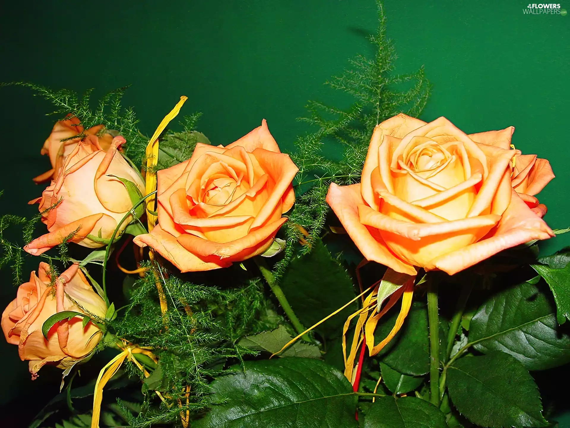 bunch, salmon, roses