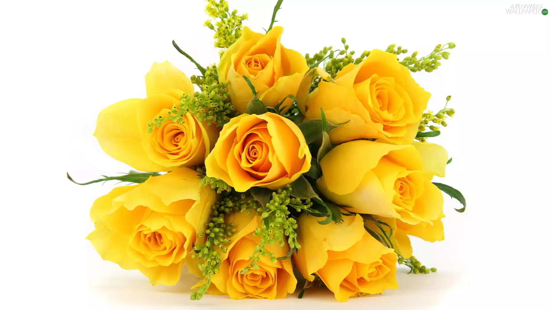 bunch, Yellow, roses