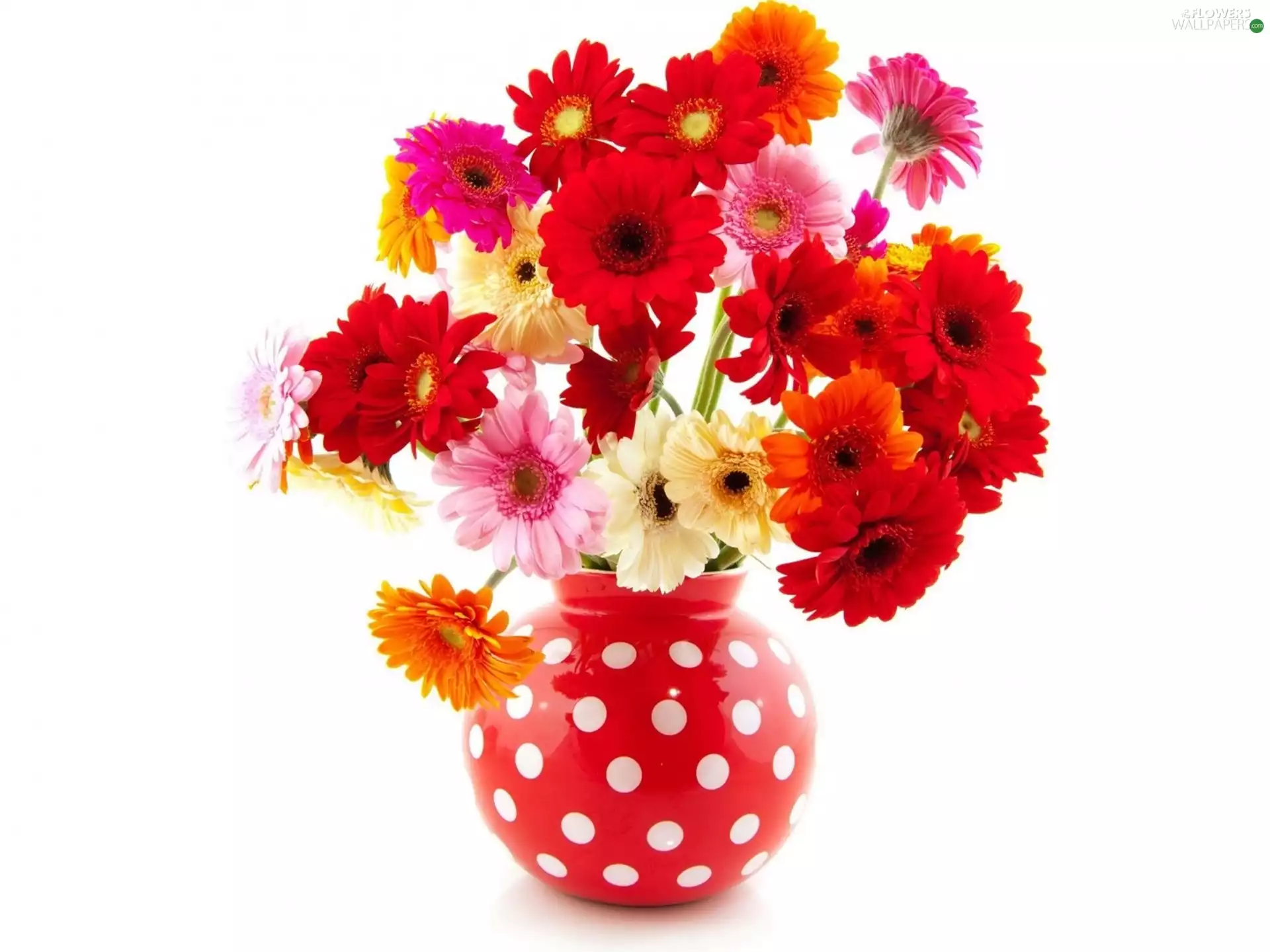 vase, gerberas, small bunch